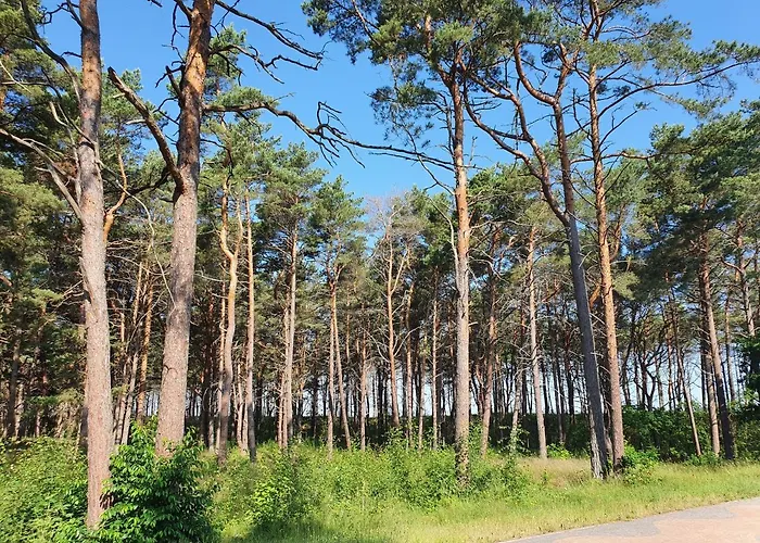 Apartament Morska Bryza Baltic Park Apartment *